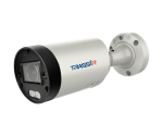 Trassir TR-D2183IR6 v3 2.7-13.5