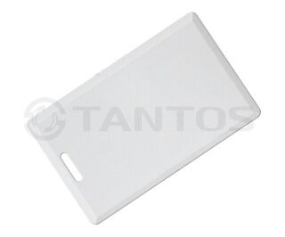 Tantos Temic (толстая) TS фото