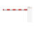 TEMID (Zkteco) T-proBG8045R