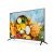 HikVision DS-D5065UC-C